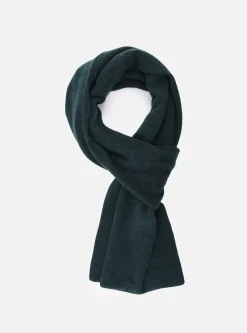 Discount Sciarpa Asola in Puro Cashmere / Uomo Sciarpe
