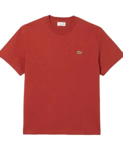 Outlet T-Shirt a Girocollo in Jersey di Cotone Pima / Uomo T-shirt