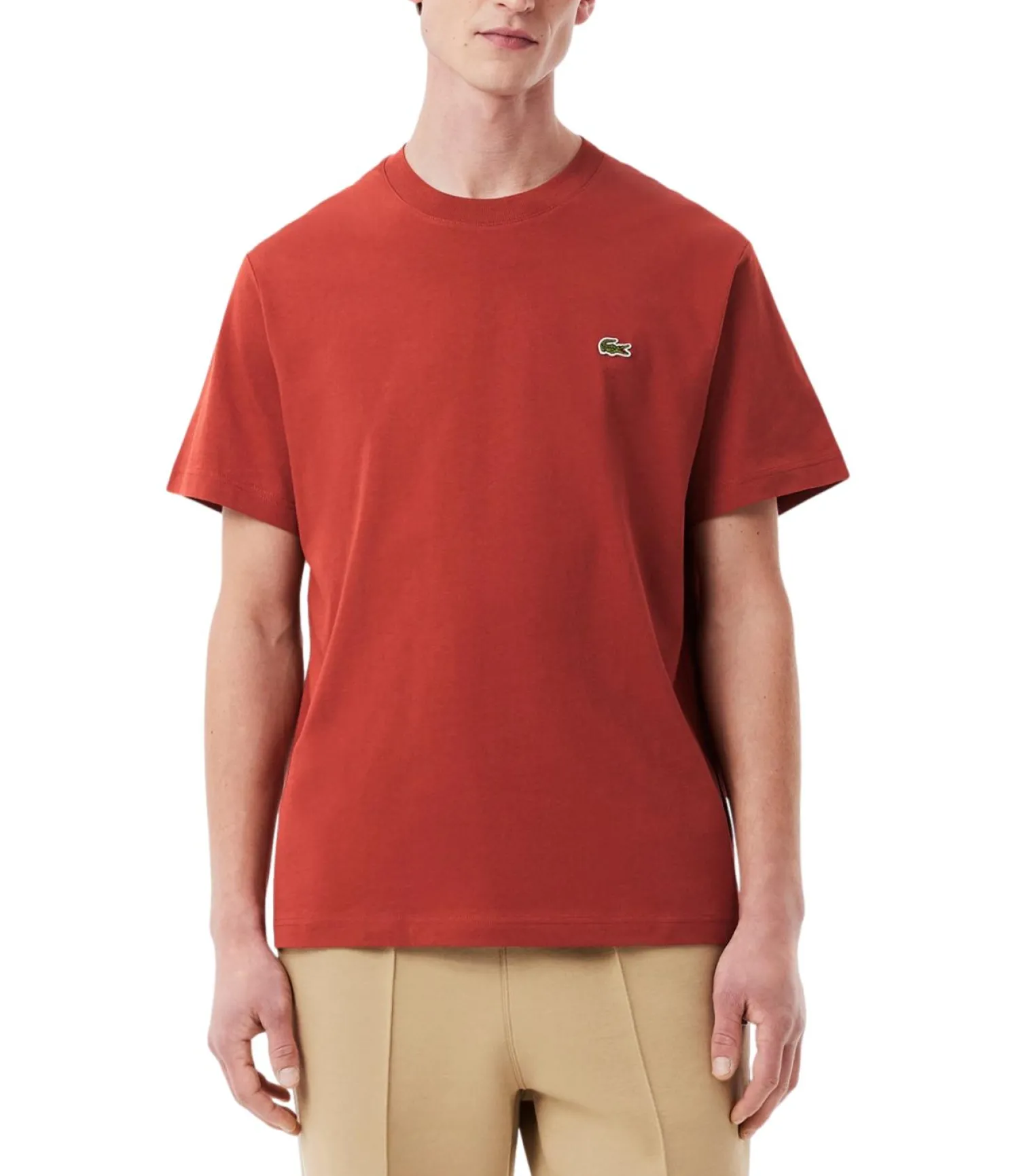 Outlet T-Shirt a Girocollo in Jersey di Cotone Pima / Uomo T-shirt