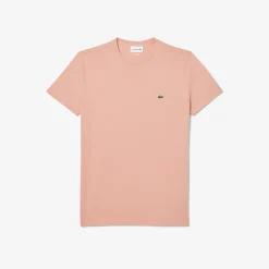 Online T-Shirt a Girocollo in Jersey di Cotone Pima / Uomo T-shirt