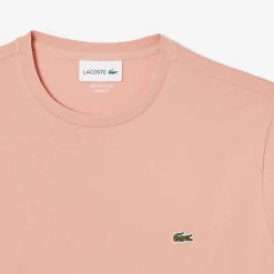 Online T-Shirt a Girocollo in Jersey di Cotone Pima / Uomo T-shirt