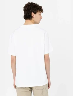 T-Shirt Summerdale a Maniche Corte / Uomo T-shirt